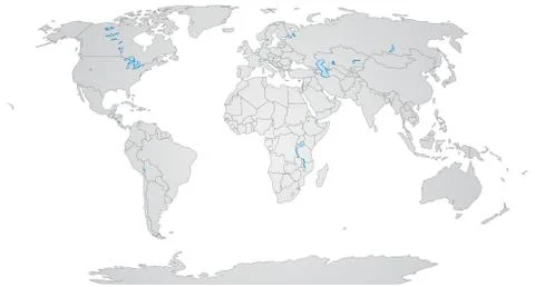 Map of the world 库存插图
