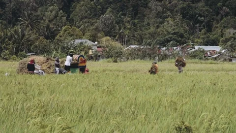 Mapalus it means granges to fund rising build their church GMIM 03 04 2023 t Video stock 241378690