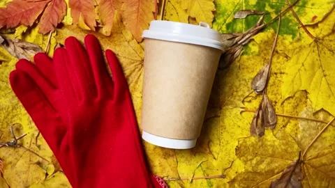 Maple and rowan yellow and red leaves on ground, paper coffee cup and gloves Stock Footage 219199494
