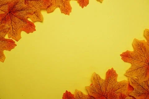 Maple autumn leaf border over on yellow background Stock Photos