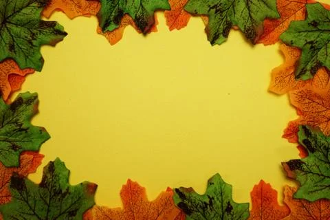Maple autumn leaf border over on yellow background Stock Photos