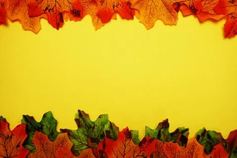 Maple autumn leaf border over on yellow background Stock Photos