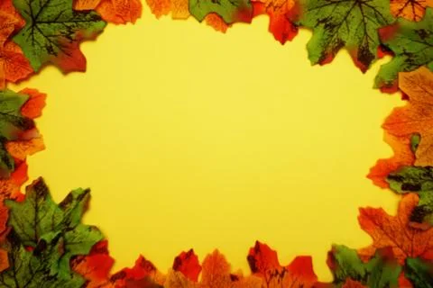 Maple autumn leaf border over on yellow background Stock Photos