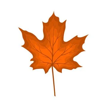 Maple Autumn Leaf Illustrazione stock