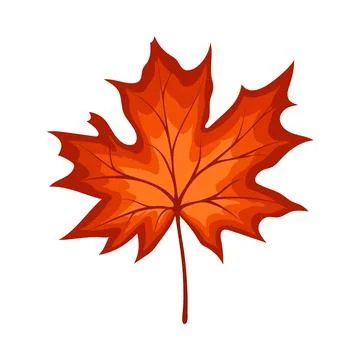 Maple Autumn Leaf Illustrazione stock