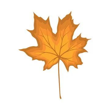 Maple Autumn Leaf Illustrazione stock