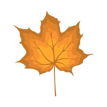 Maple Autumn Leaf Illustrazione stock