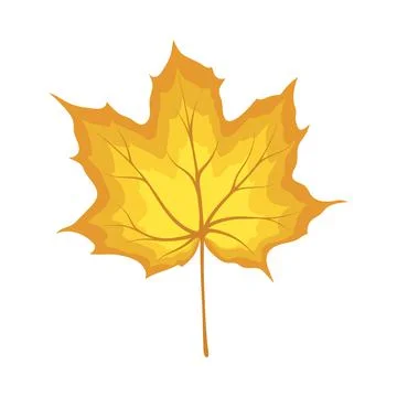 Maple Autumn Leaf Illustrazione stock