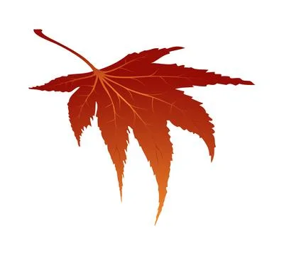Maple Autumn Leaf Stockillustratie