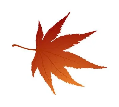 Maple Autumn Leaf Stockillustratie