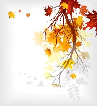 Maple autumn  leaves Stock Illustration