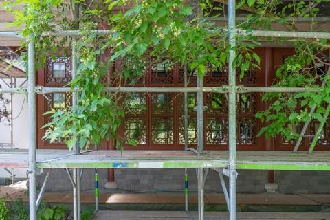 Maple Branches and Scaffolding in Front of Red Lattice Windows Stock Photos