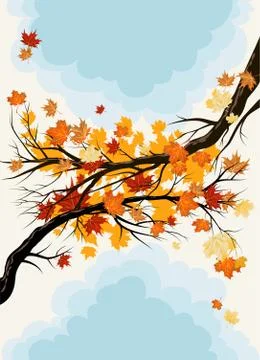 Maple branches Stock Illustration
