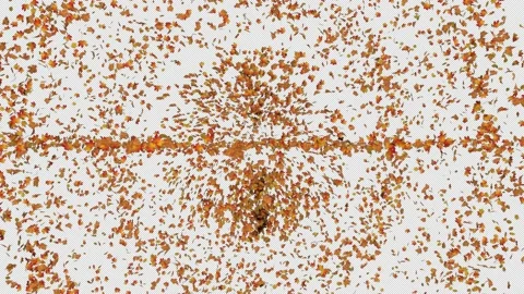 Maple Burst Stock Footage 171965715
