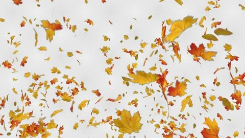 Maple Explosion Stock Footage 154630931