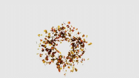 Maple Explosion Stock Footage 158082234