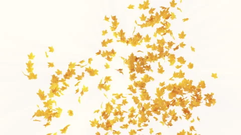 Maple Explosion on Pastel Background Stock Footage 282975327