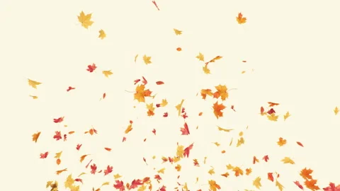 Maple Explosion on Pastel Background Stock Footage 299683340