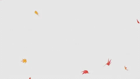 Maple Fall 2 Clip Alpha Loop Pack Stock Footage 320214902