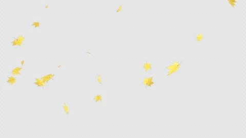 Maple Fall on Alpha Loop Stock Footage 259693900