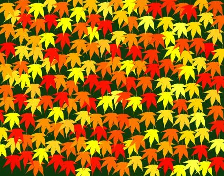 Maple fall Illustrazione stock