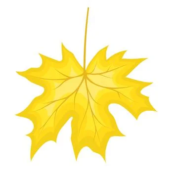 Maple Fall Leaf Illustrazione stock