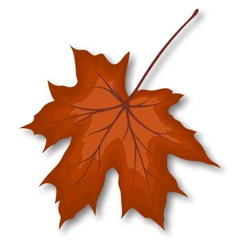 Maple Fall Leaf 스톡 일러스트