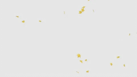 Maple Fall Loop on Alpha Stock Footage 281214007