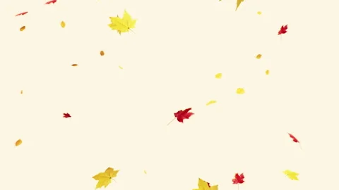 Maple Fall Loop on Pastel Background Stock Footage 252572971