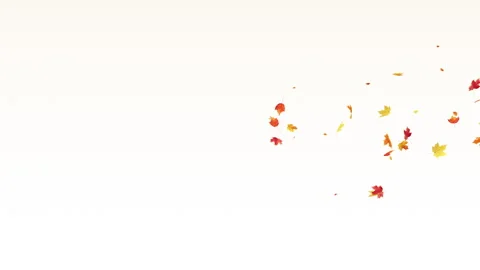 Maple Fall on Pastel Stock Footage 243722677