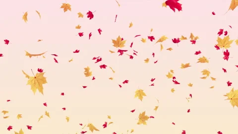 Maple Fall on Pastels Stock Footage 282972938