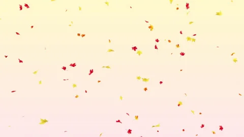 Maple Fall on Pastels Stock Footage 286792488