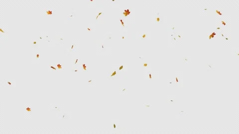 Maple Stock Footage 153842499