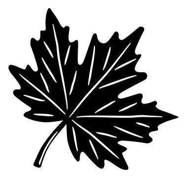 Maple Grape Vine Leaf Hand Drawn Illustration Icon 스톡 일러스트