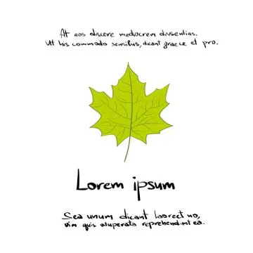 Maple Gren Leaf Hand Draw Color Icon Vector 库存插图