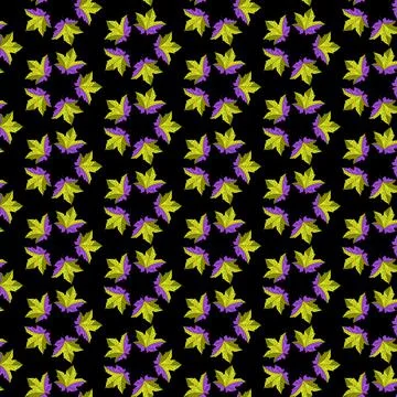 Maple Stock Illustration