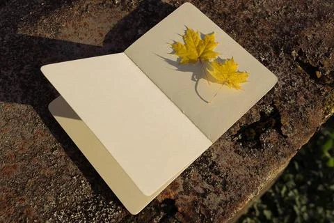 Maple leaf and book on stone background. Autumn season concept. Stock Photos