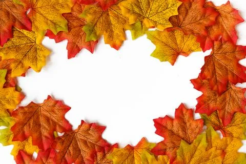 Maple leaf and free space for text with white background. Stock Photos