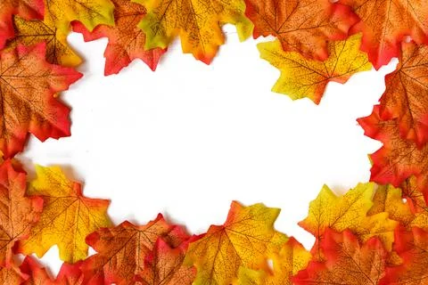 Maple leaf and free space for text with white background. Stock Photos