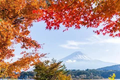 Maple leaf and Mt.Fuji Stock Photos