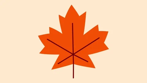 Maple leaf animation drifting softly in warm autumn colors with seasonal mood. Stock Footage 320286794