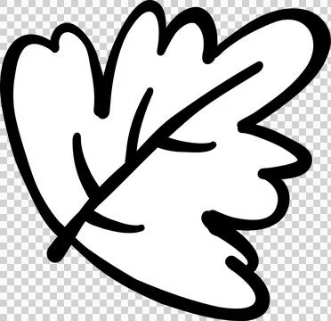 Maple Leaf Autumn Cartoon Hand Draw Outline Black and white Stock Illustration