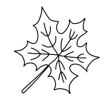 Maple leaf, autumn design element, doodle style flat vector outline for coloring Stock Illustration