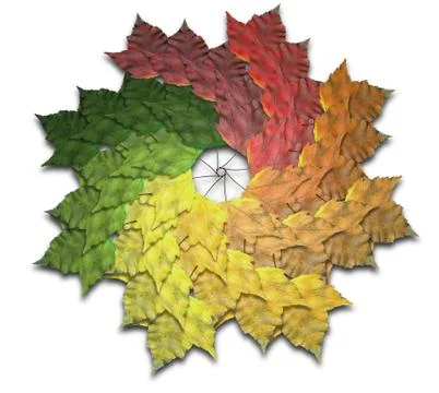 Maple leaf autumn spiralling spectrum イラスト素材