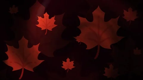 Maple Leaf Background Loop Stock Footage 309507494