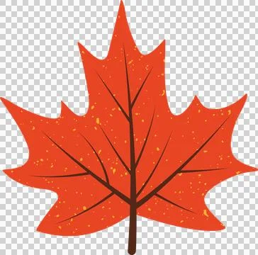 Maple leaf is being shown in vector design, brown-veined yellow-speckled on Stockillustratie