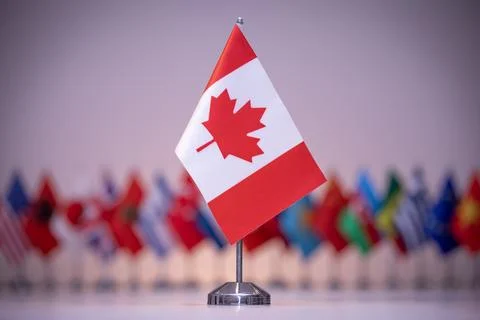 Maple leaf on the Canadian flag design Stock Illustration