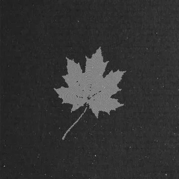 Maple leaf on cardboard texture. autumn concept Stock Illustration