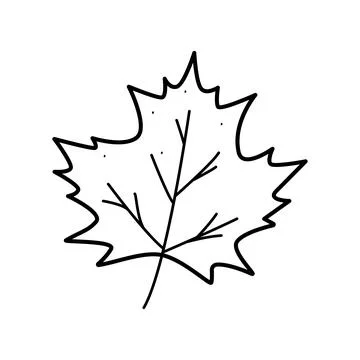 Maple leaf cartoon doodle icon. Vector illustration of a sketch of a tree l.. Stock Illustration