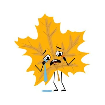 Maple leaf character with crying and tears emotion Stock Illustration